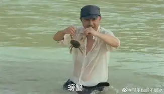 九游体育入口-尼斯与图卢兹法甲对决前瞻